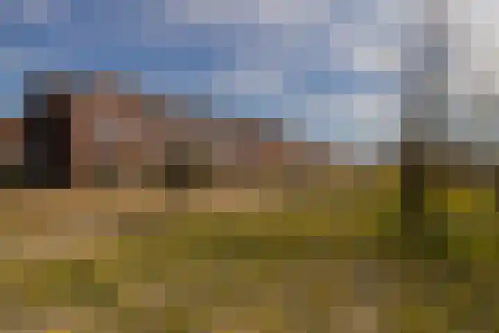 Sint Bavopark 20 Noordwijkerhout thumbnail 41