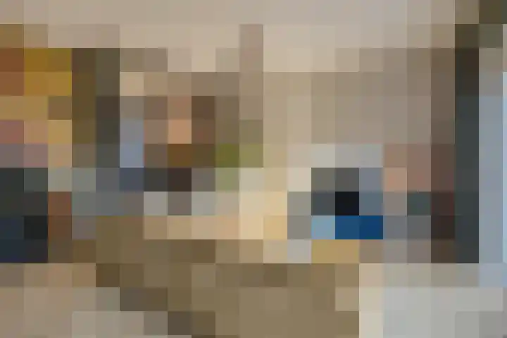 Sint Bavopark 5 Noordwijkerhout thumbnail 20