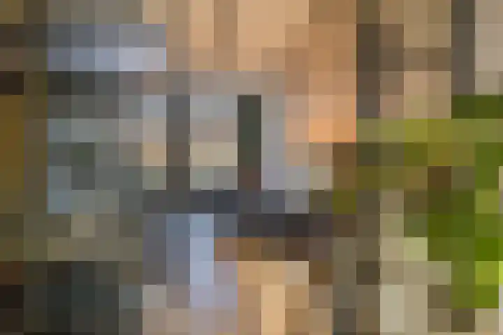 Sint Bavopark 5 Noordwijkerhout thumbnail 23