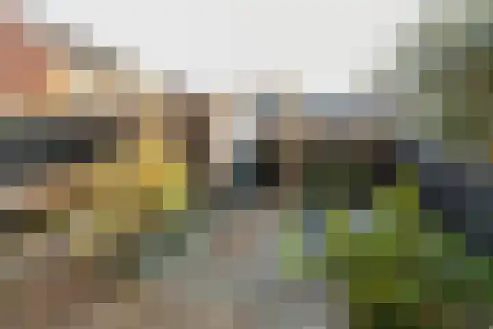 Sint Bavopark 5 Noordwijkerhout thumbnail 29