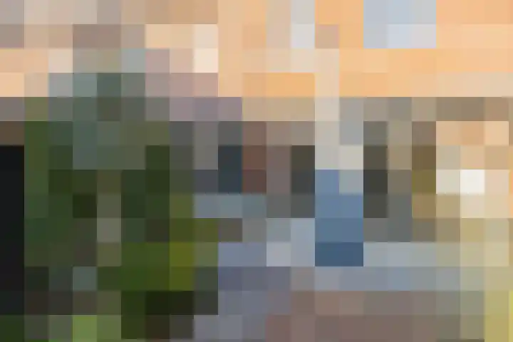 Sint Bavopark 5 Noordwijkerhout thumbnail 31