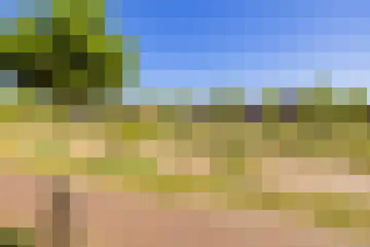 Sint Bavopark 5 Noordwijkerhout thumbnail 55