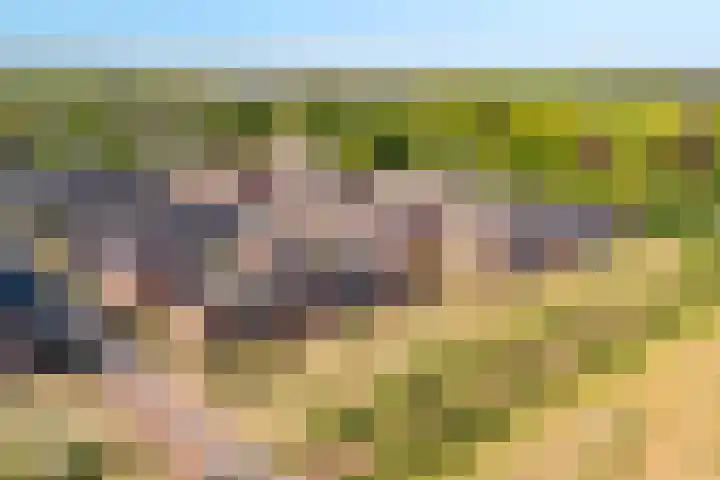Sint Bavopark 5 Noordwijkerhout thumbnail 57