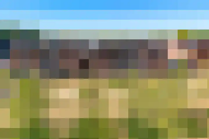 Sint Bavopark 5 Noordwijkerhout thumbnail 58