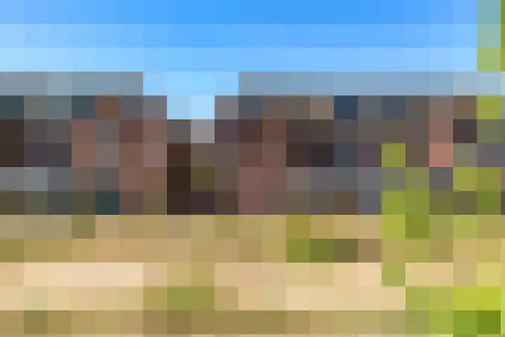 Sint Bavopark 5 Noordwijkerhout thumbnail 59