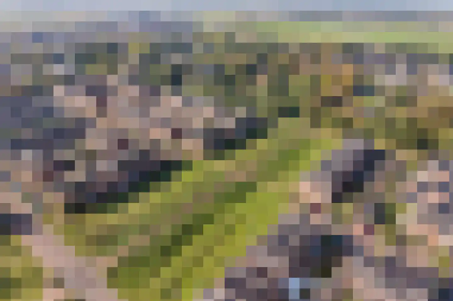 Sint Bavopark 9 Noordwijkerhout thumbnail 5