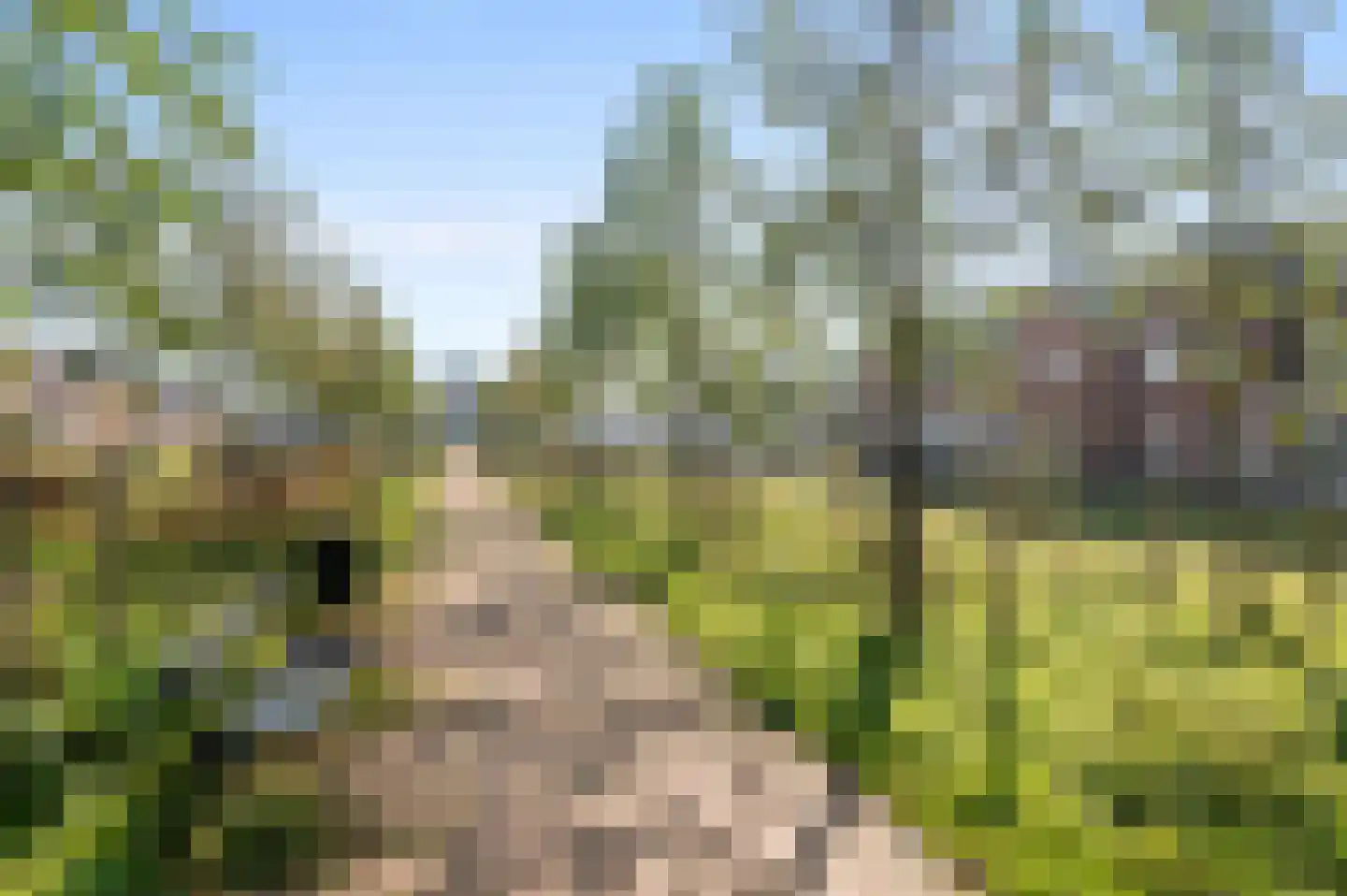 Sint Bavopark 9 Noordwijkerhout thumbnail 6