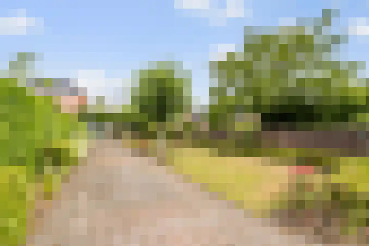 Sint Bavostraat 34 Rijsbergen thumbnail 26