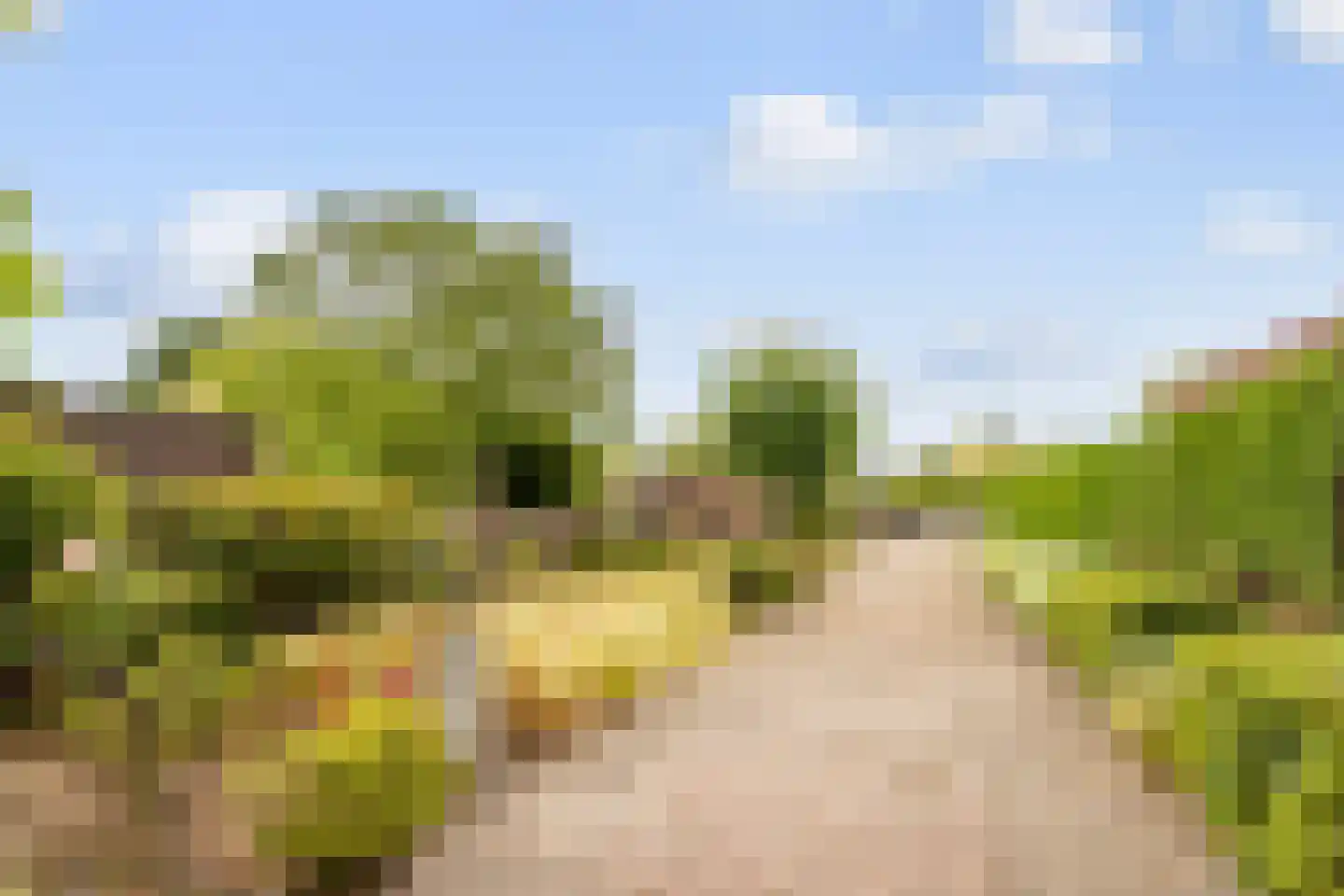 Sint Bavostraat 34 Rijsbergen thumbnail 4
