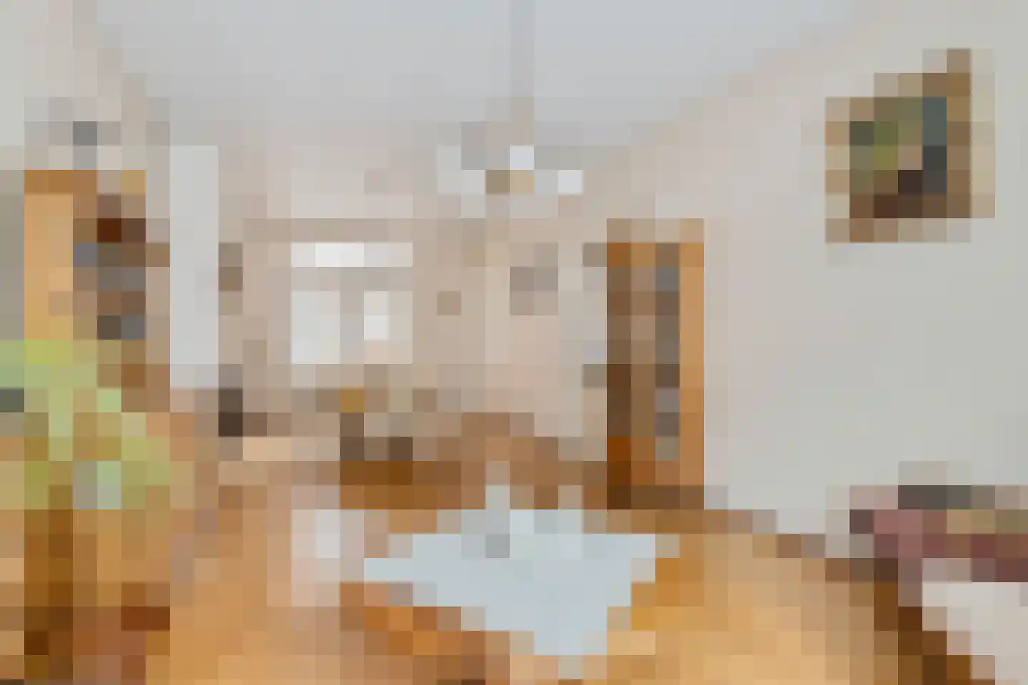 Sint Bavostraat 34 Rijsbergen thumbnail 8
