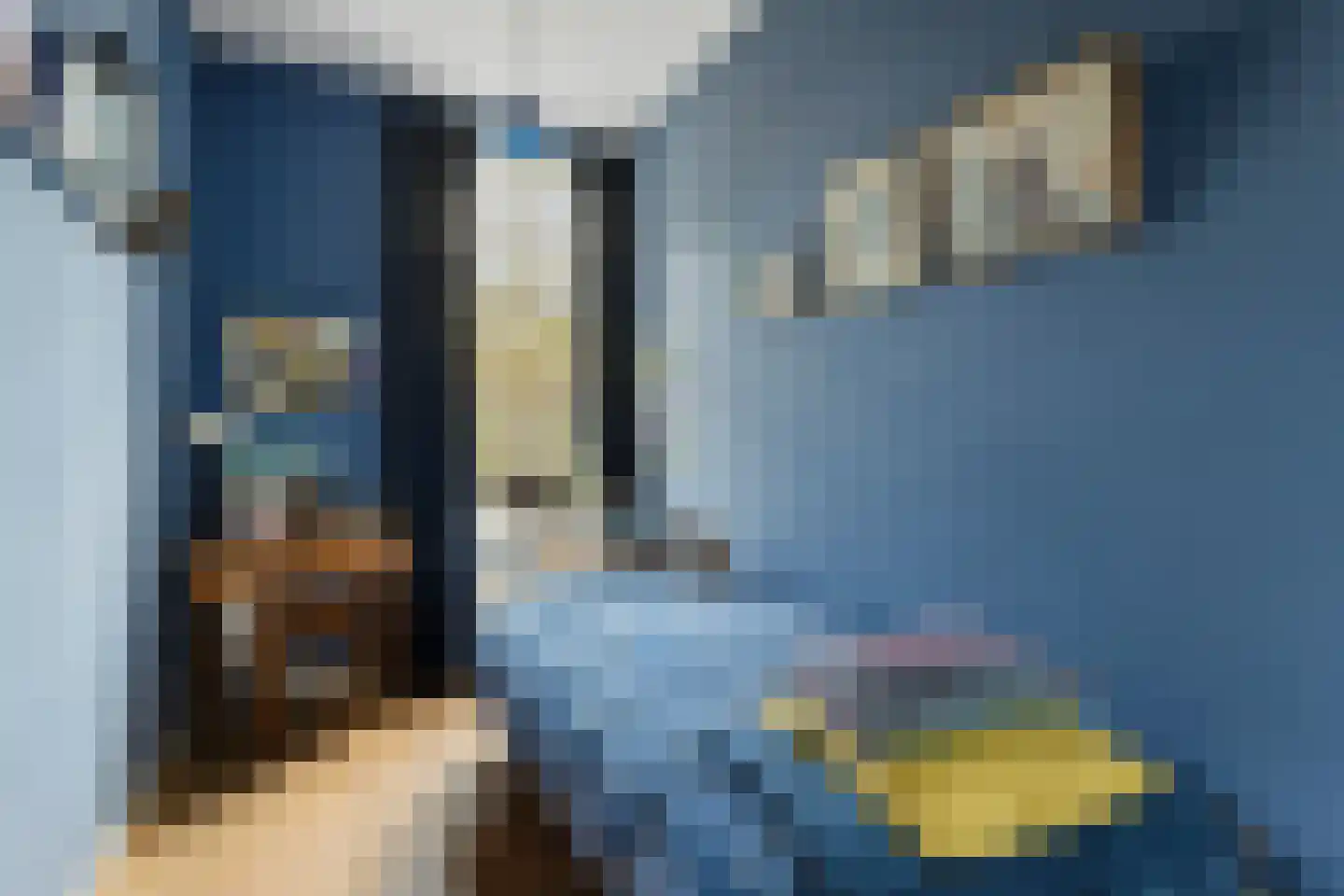 Sint Bavostraat 45 Rijsbergen thumbnail 24