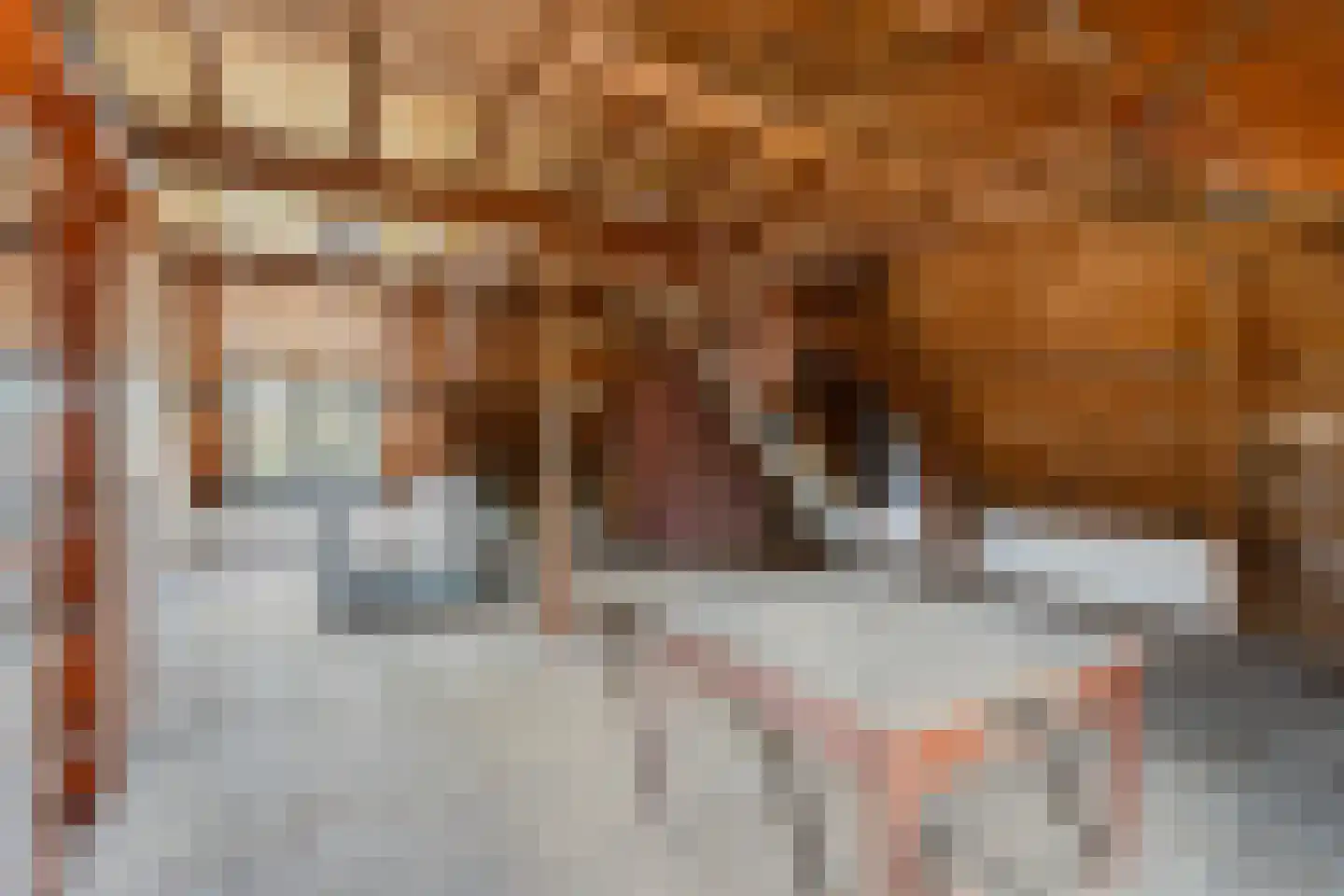 Sint Bavostraat 45 Rijsbergen thumbnail 33