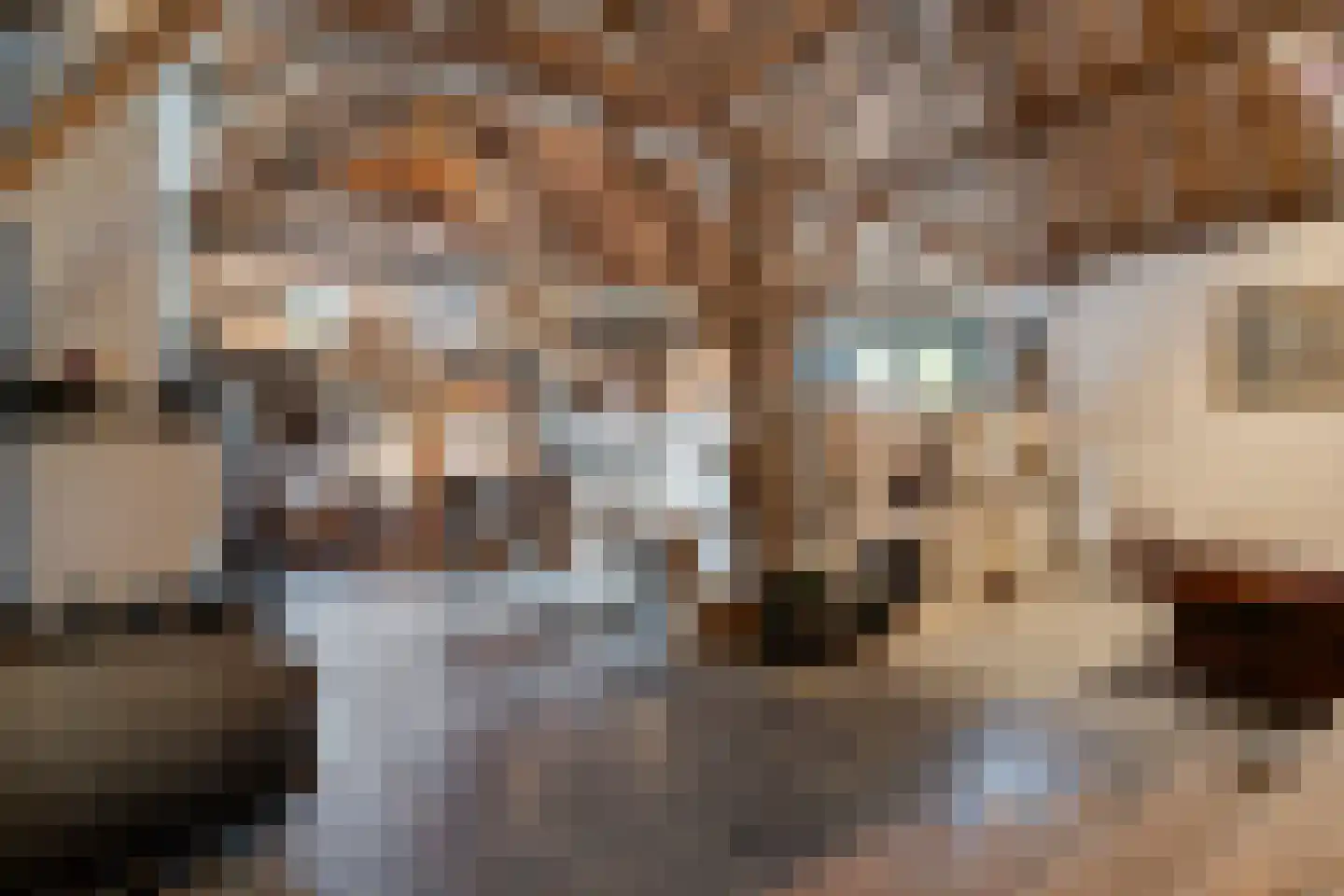 Sint Bavostraat 45 Rijsbergen thumbnail 35
