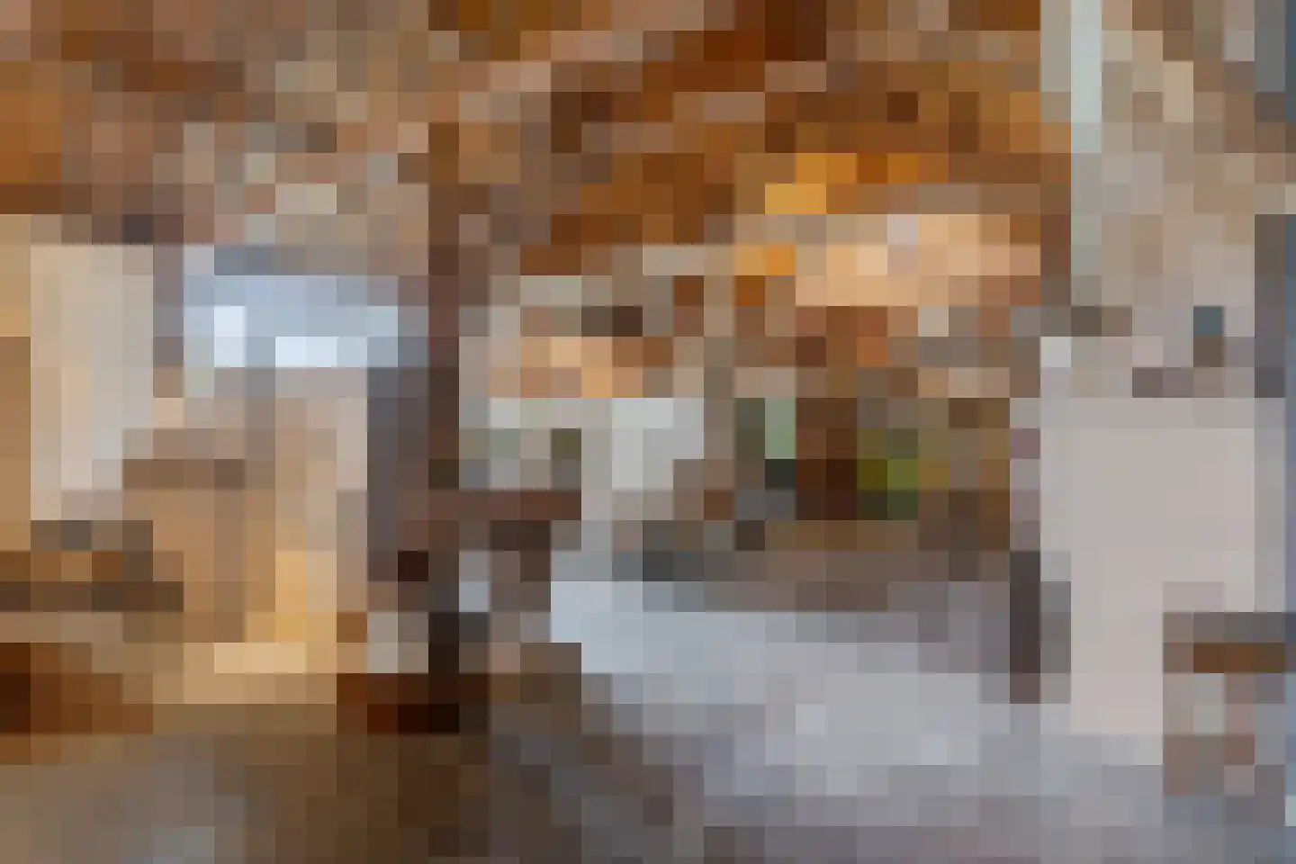 Sint Bavostraat 45 Rijsbergen thumbnail 36