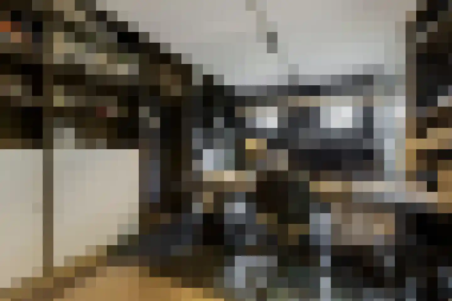 Sint Bavostraat 45 Rijsbergen thumbnail 38