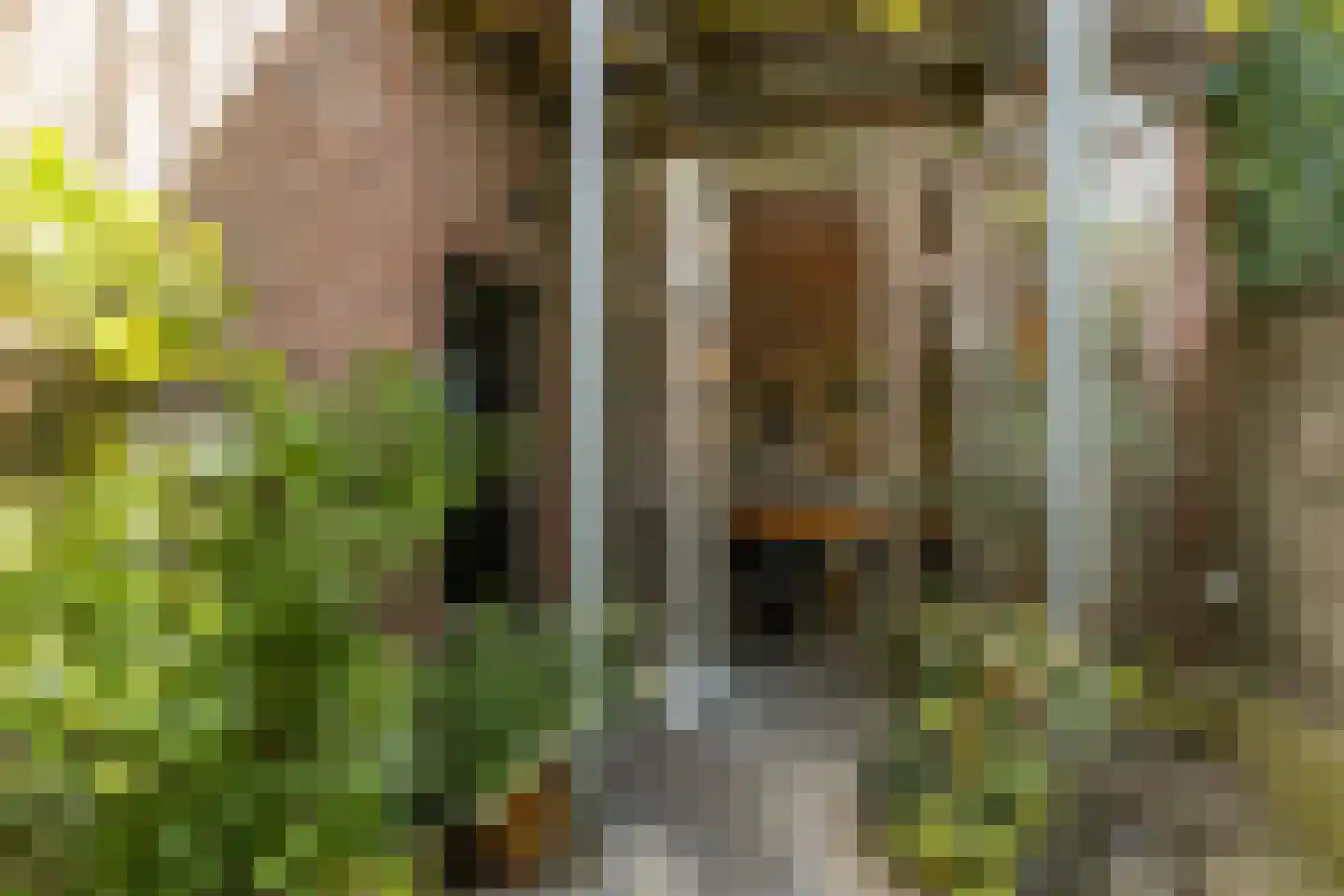 Sint Bavostraat 45 Rijsbergen thumbnail 43
