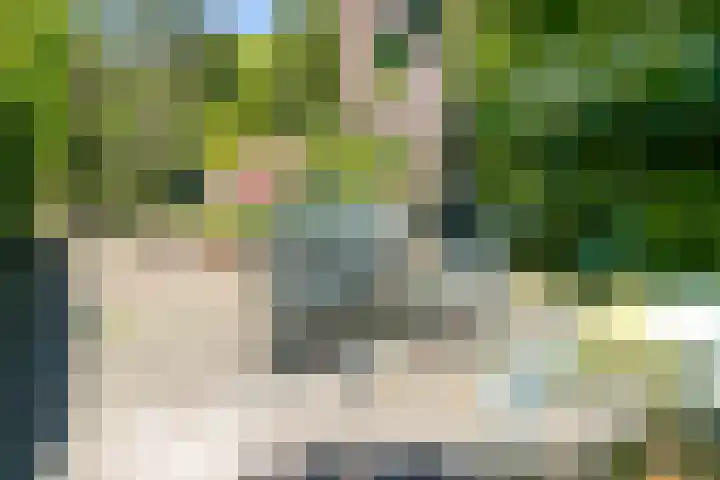 Sint Bavostraat 49 Rijsbergen thumbnail 19