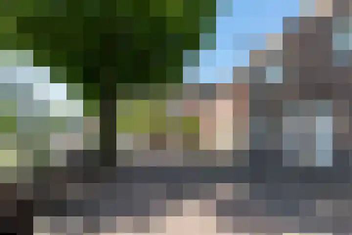 Sint Bavostraat 49 Rijsbergen thumbnail 23