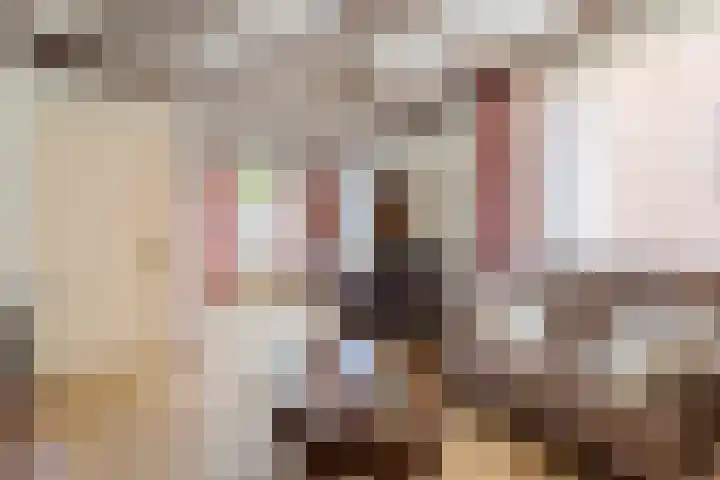 Sint Bavostraat 49 Rijsbergen thumbnail 4