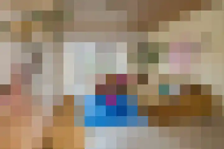 Sint Bavotuin 31 Noordwijkerhout thumbnail 10