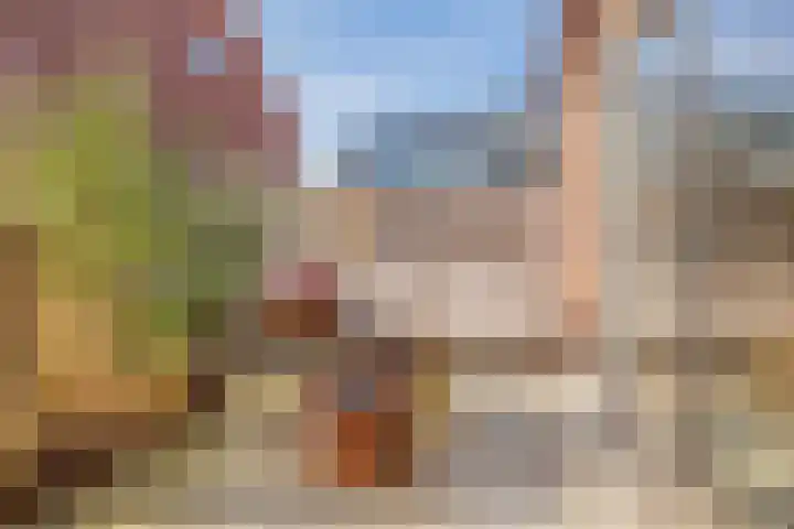 Sint Bavotuin 31 Noordwijkerhout thumbnail 40