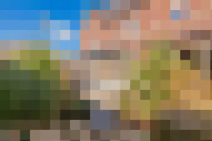 Sint Bavotuin 31 Noordwijkerhout thumbnail 43