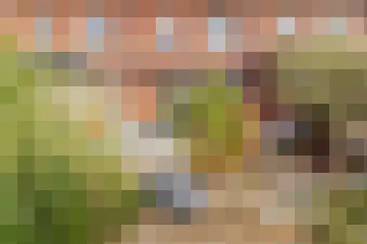 Sint Bavotuin 31 Noordwijkerhout thumbnail 45