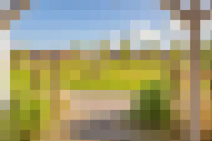 Sint Bavotuin 31 Noordwijkerhout thumbnail 47