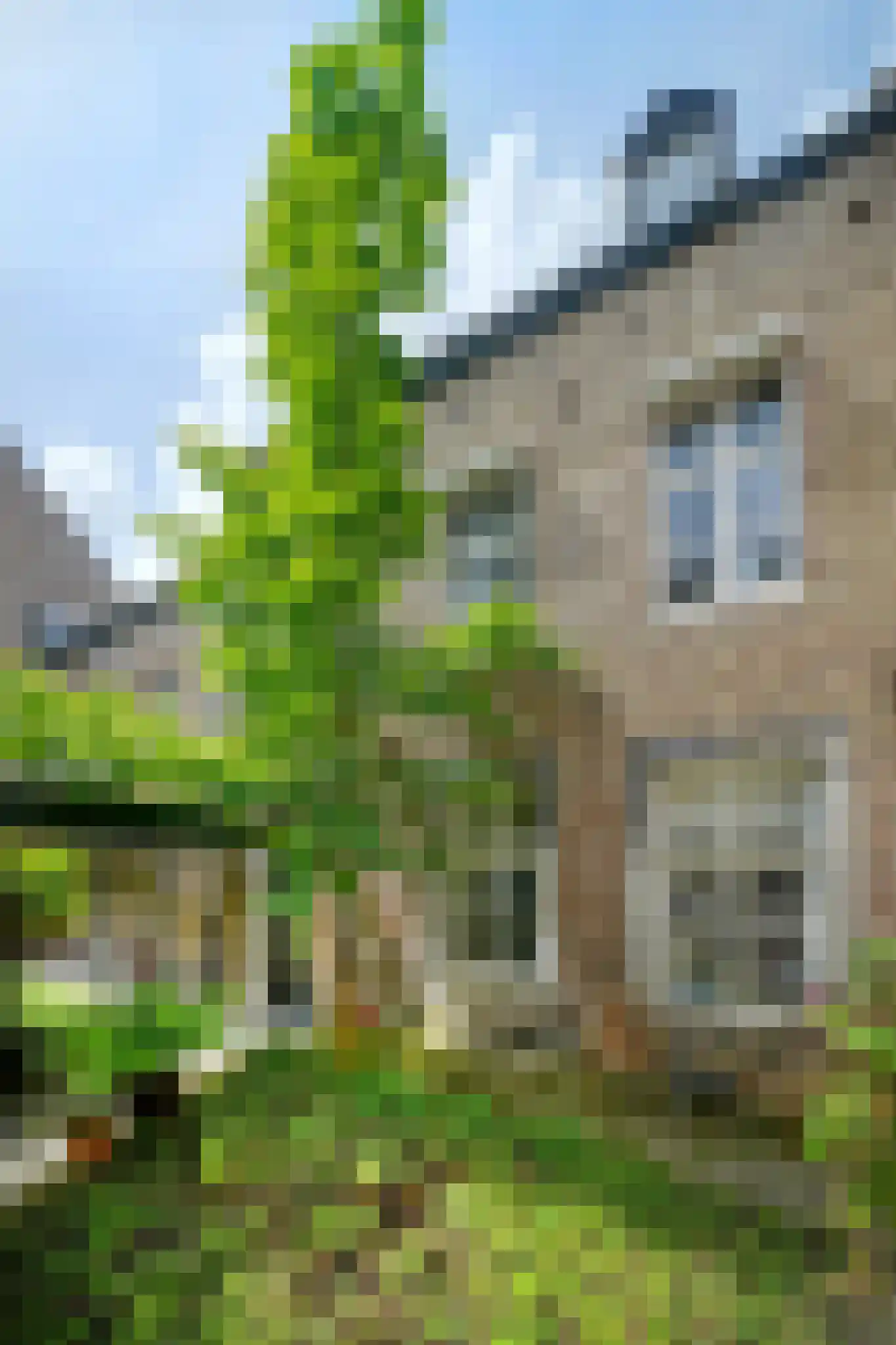 Sint Bernardusstraat 1 A Maastricht thumbnail 5