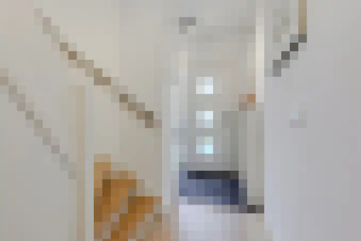 Sint Bonifaciusstraat 39 Leidschendam thumbnail 11