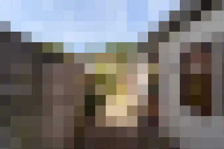 Sint Bonifaciusstraat 62 Amersfoort thumbnail 24