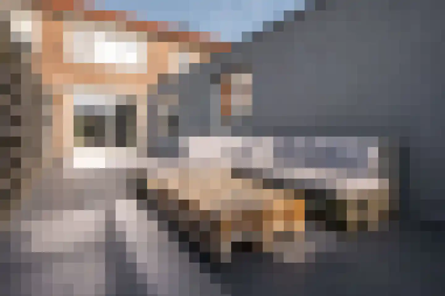 Sint Brandarisstraat 26 Sluis thumbnail 20
