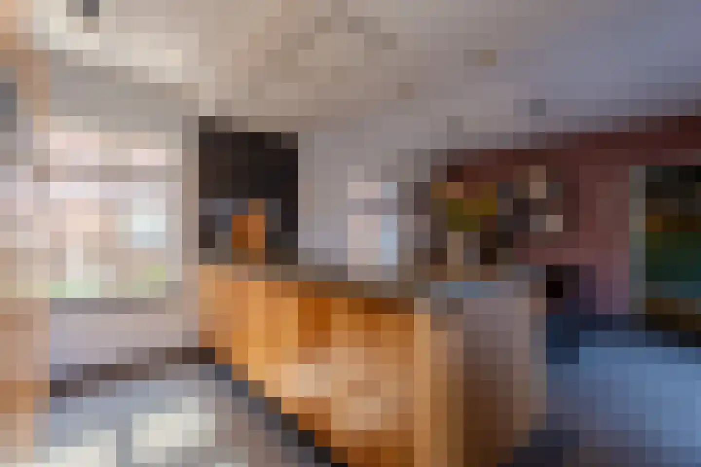 Sint Brigidawal 1 Nieuwstadt thumbnail 13
