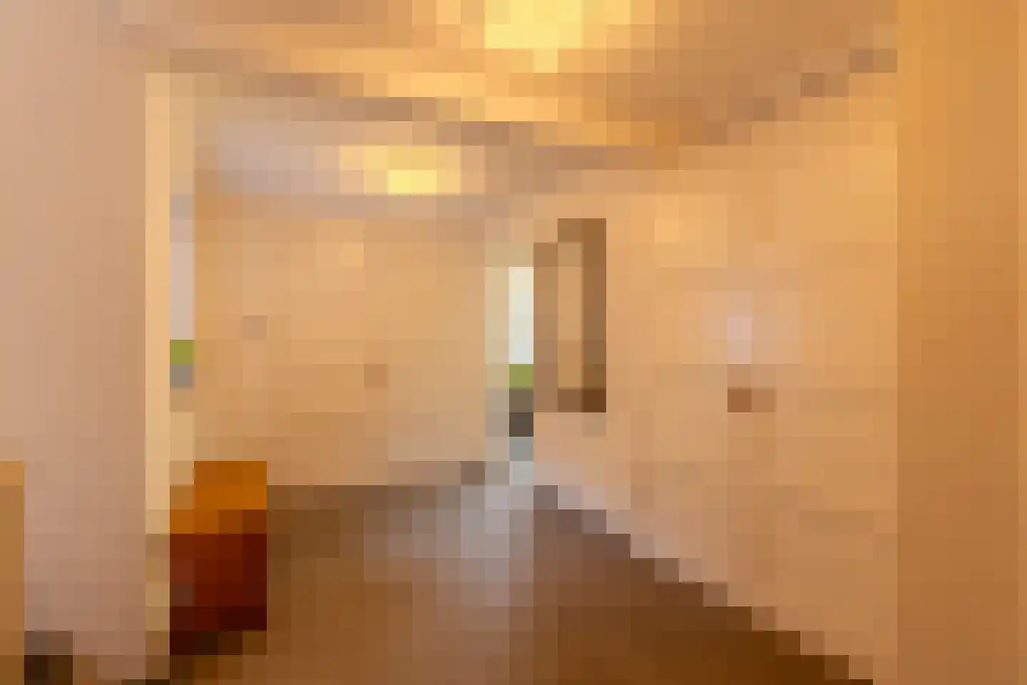Sint Brigidawal 1 Nieuwstadt thumbnail 15