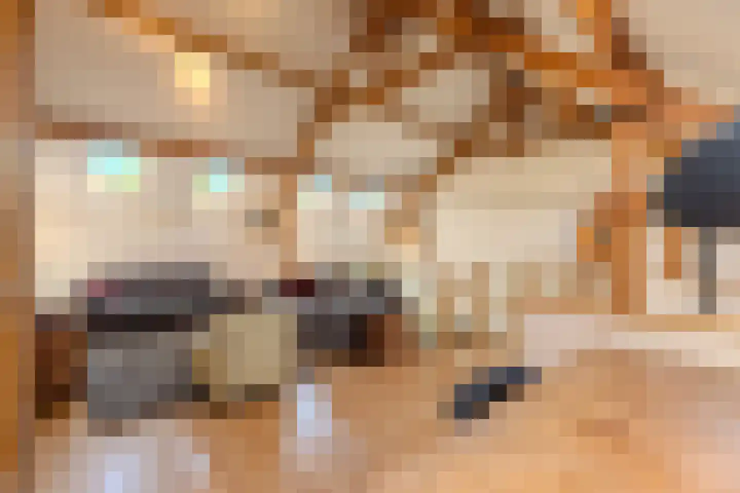 Sint Brigidawal 1 Nieuwstadt thumbnail 20