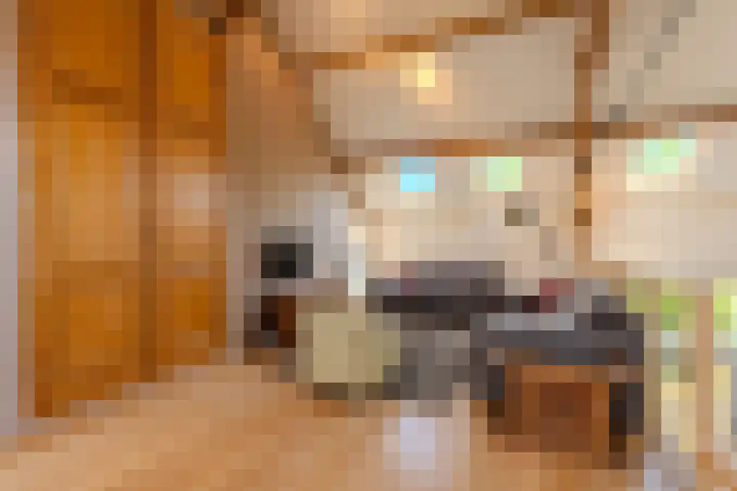 Sint Brigidawal 1 Nieuwstadt thumbnail 21