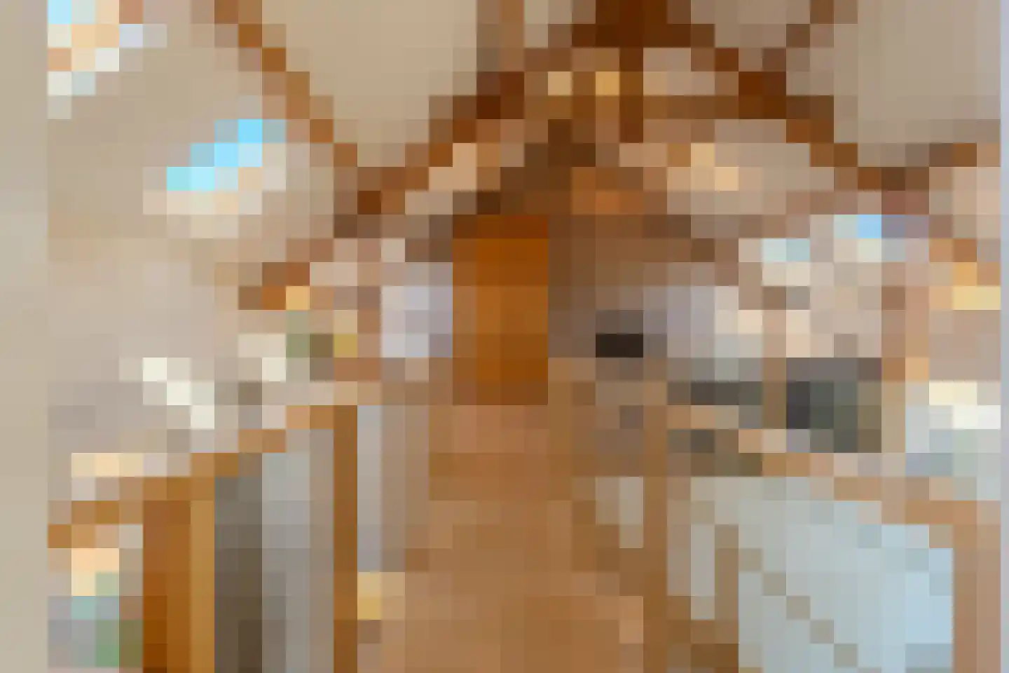 Sint Brigidawal 1 Nieuwstadt thumbnail 22