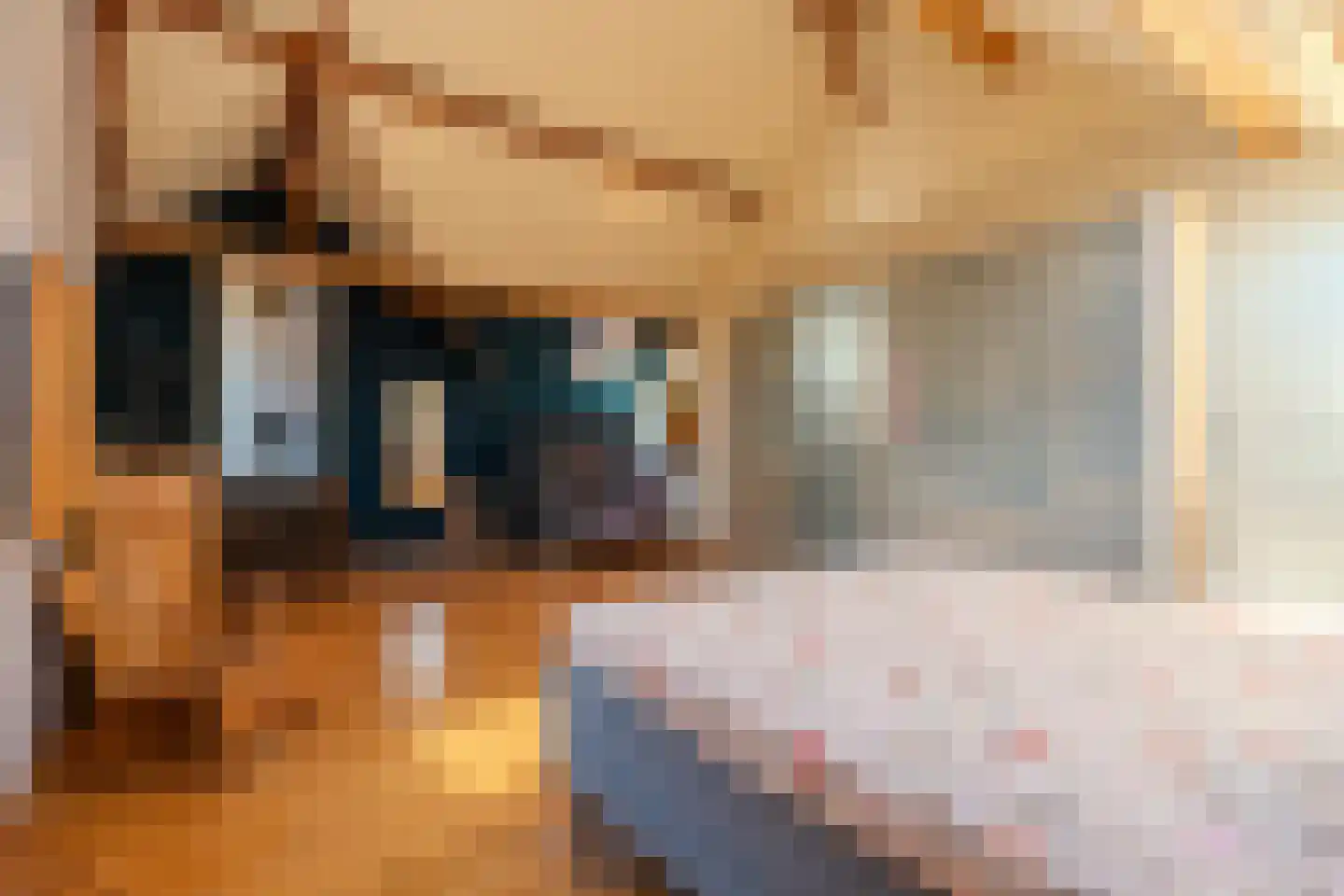 Sint Brigidawal 1 Nieuwstadt thumbnail 24