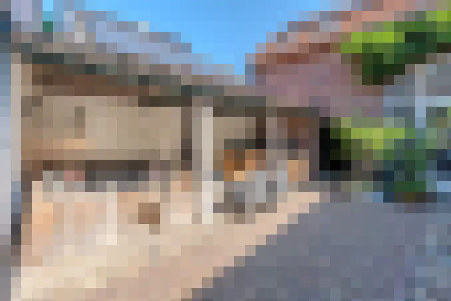 Sint Brigidawal 1 Nieuwstadt thumbnail 38