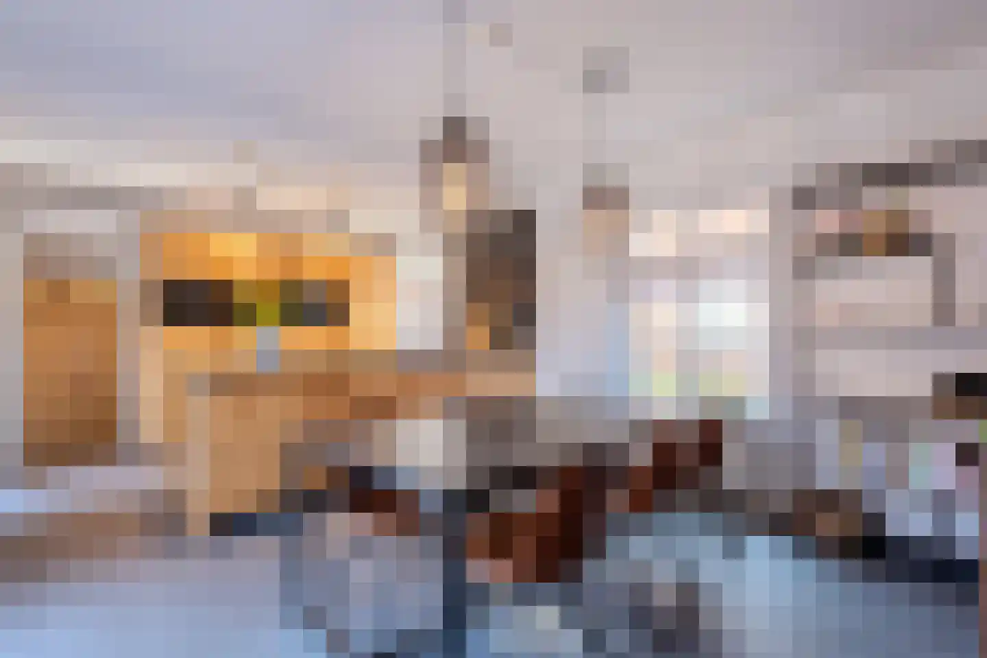 Sint Brigidawal 1 Nieuwstadt thumbnail 4
