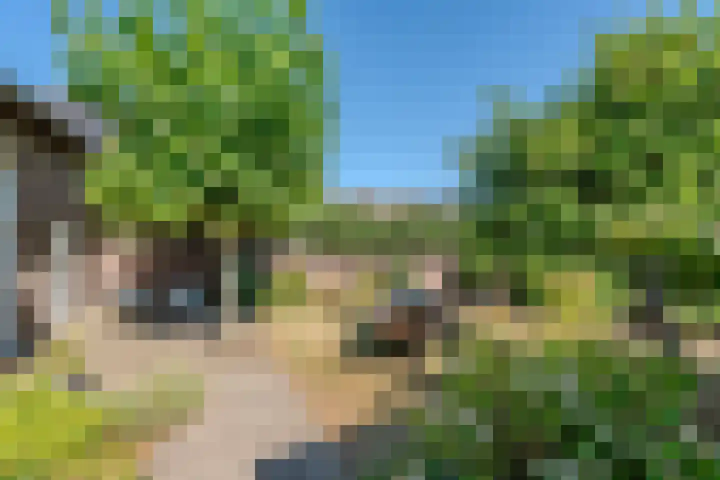 Sint Brigidawal 1 Nieuwstadt thumbnail 44