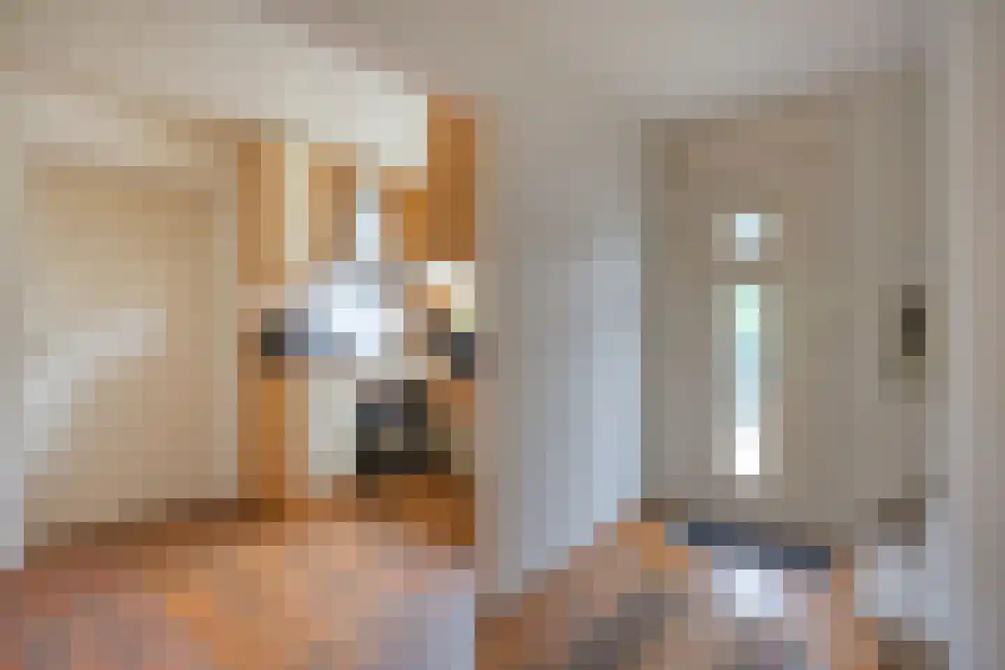 Sint Camillusstraat 20 Roermond thumbnail 8