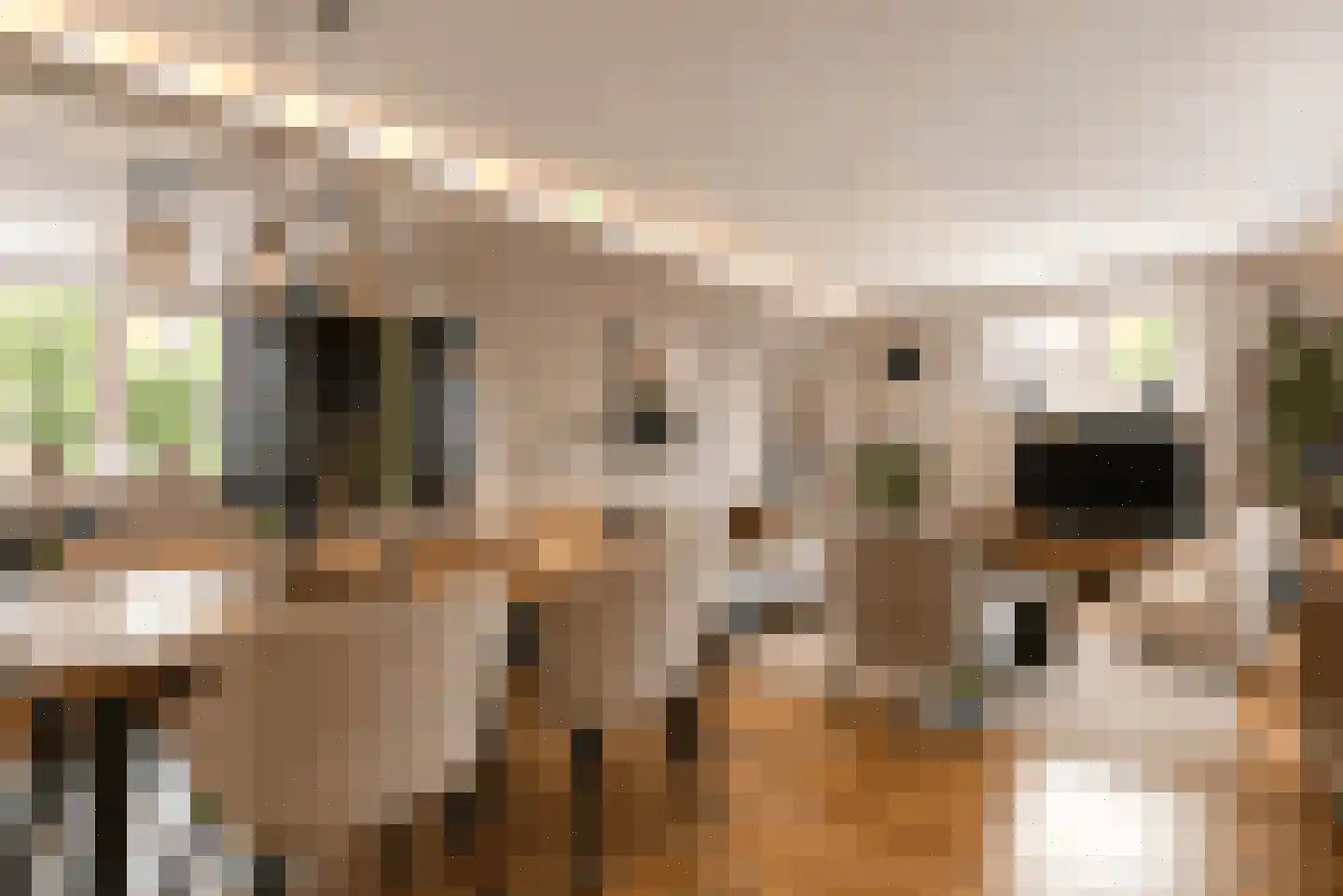 Sint Camillusstraat 21 Roermond thumbnail 15