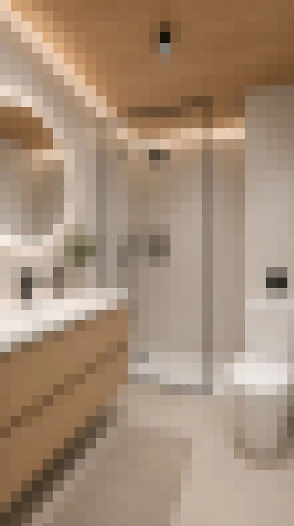 Sint Camillusstraat 21 Roermond thumbnail 30