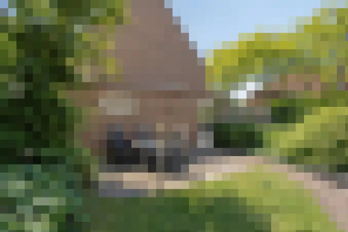 Sint Catharinahof 2 Buchten thumbnail 25