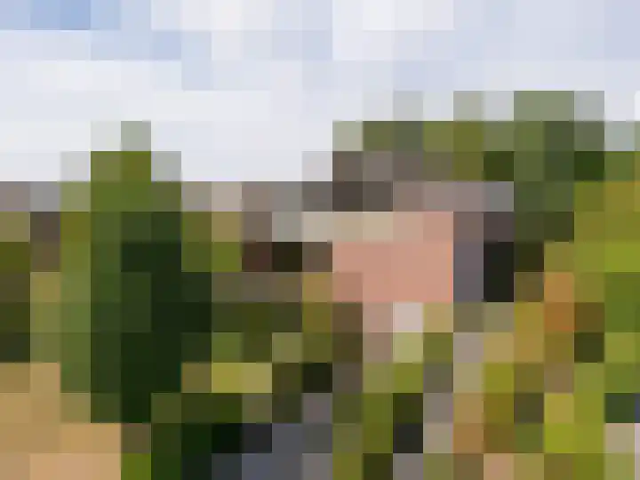 Sint Catharinastraat 116 in Ulestraten