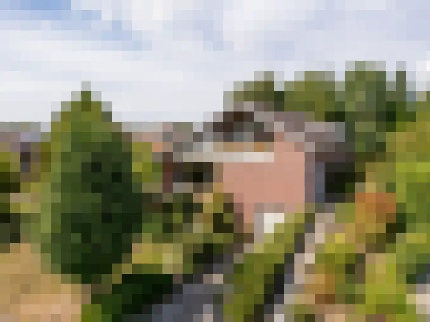Sint Catharinastraat 116 Ulestraten