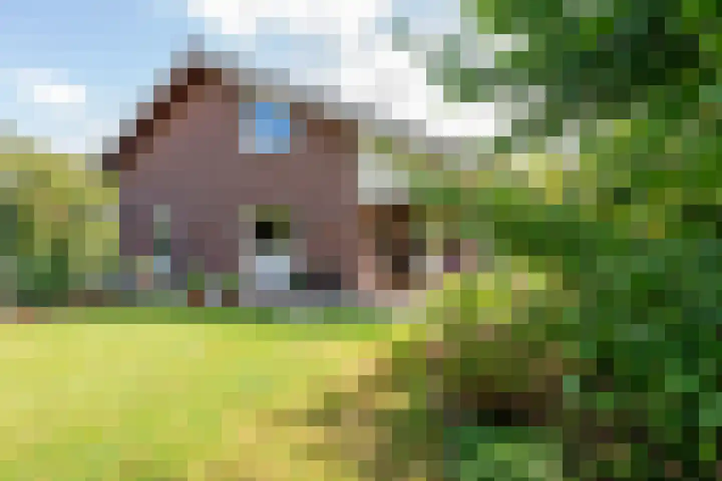 Sint Catharinastraat 116 Ulestraten thumbnail 22
