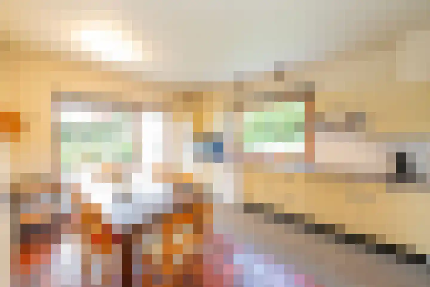 Sint Catharinastraat 116 Ulestraten thumbnail 7
