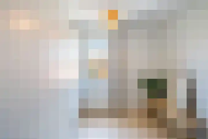 Sint Catharinastraat 15 Weert thumbnail 24